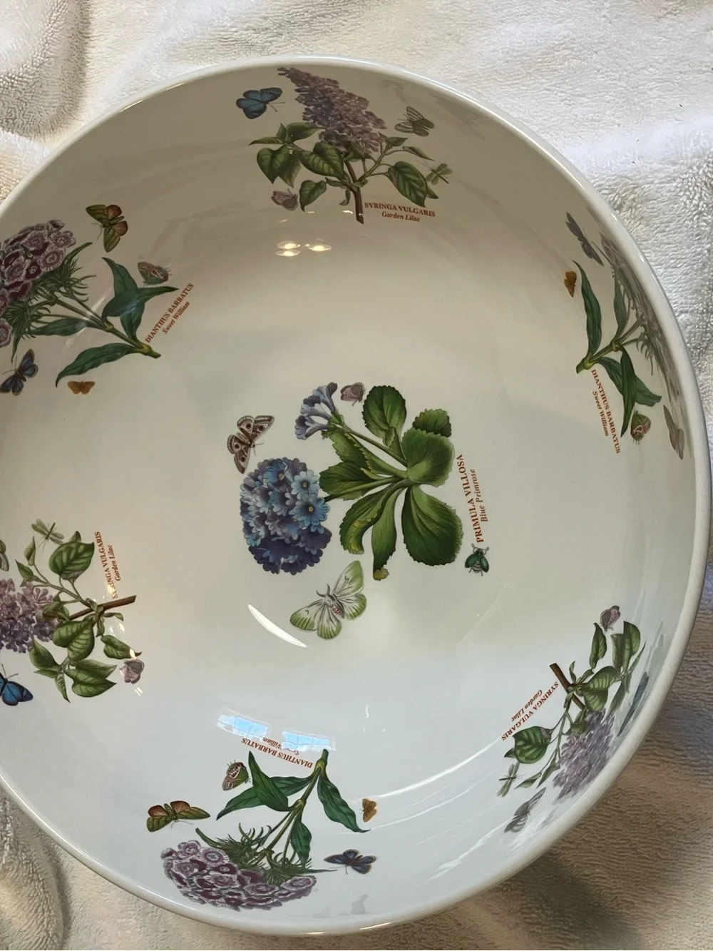 Vintage Portmeirion Botanic Garden Salad Bowl Ceramic 10.5inch diameter